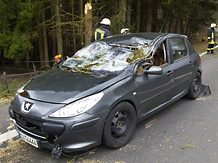 Der vom den umstrzenden Bumen getroffene Peugeot