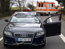 Der vom den umstrzenden Bumen getroffene Audi